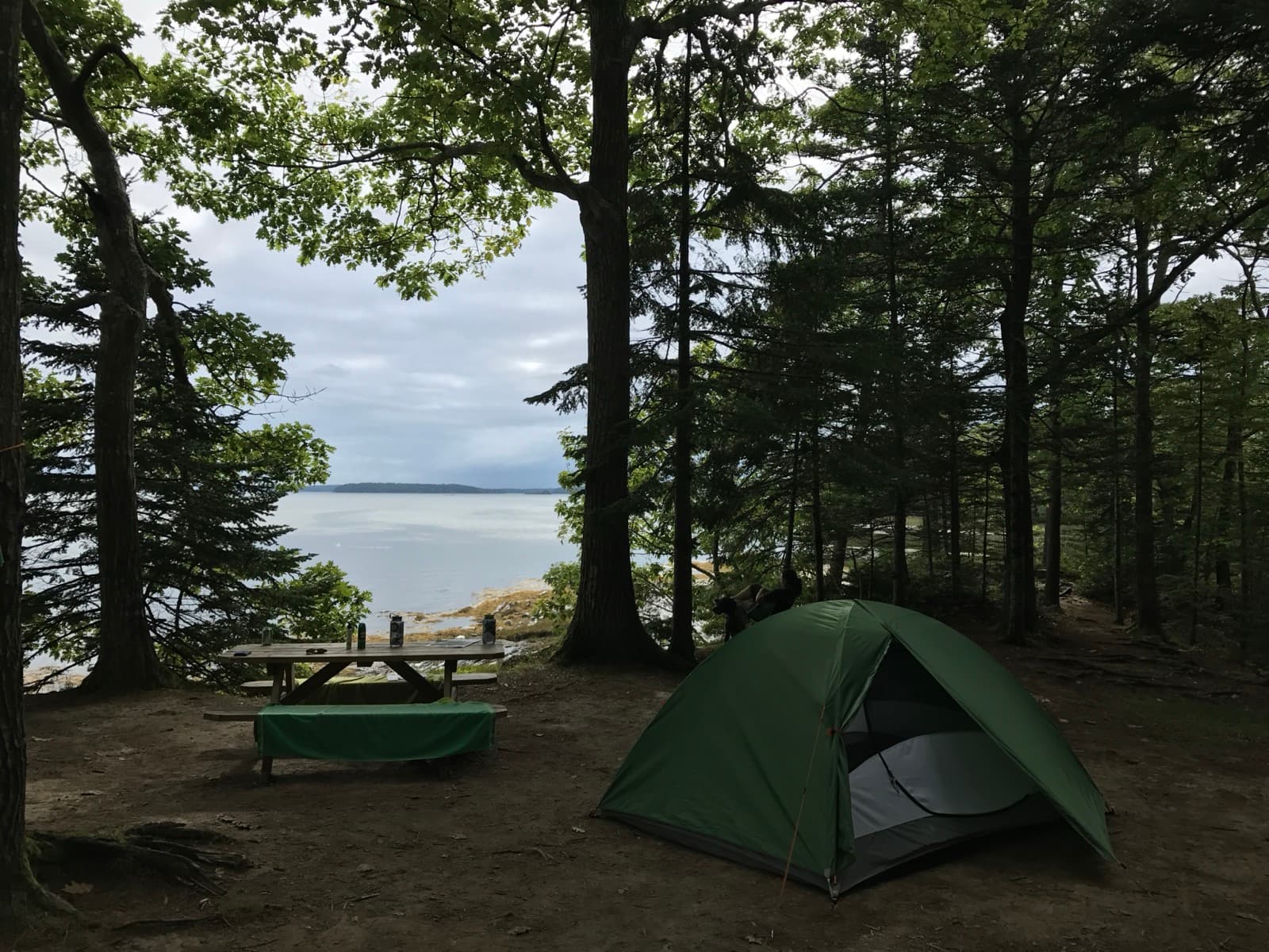 Campsite on the ocean at Wolf Neck Farm
