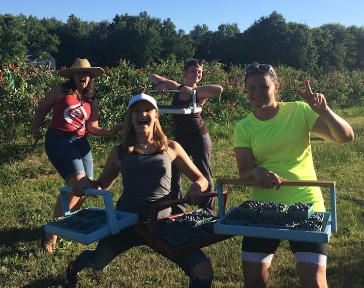 Blueberry picking at Greenfield Berry Farm