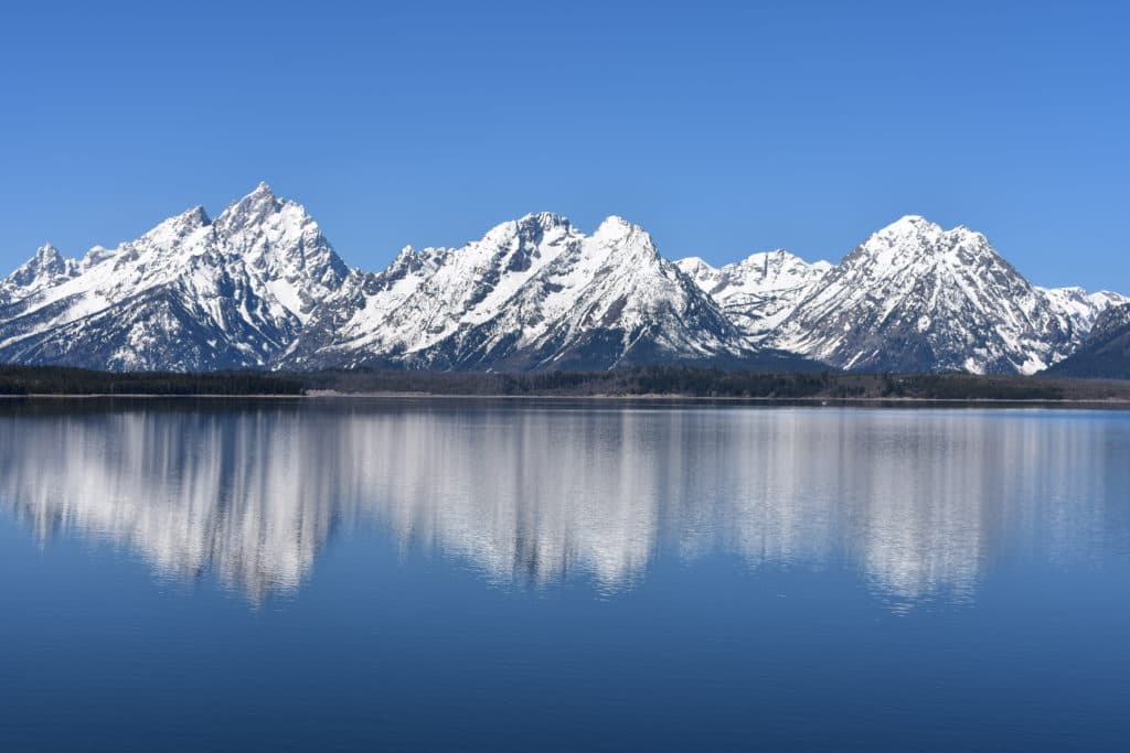 Grand Tetons & Yellowstone Road Trip