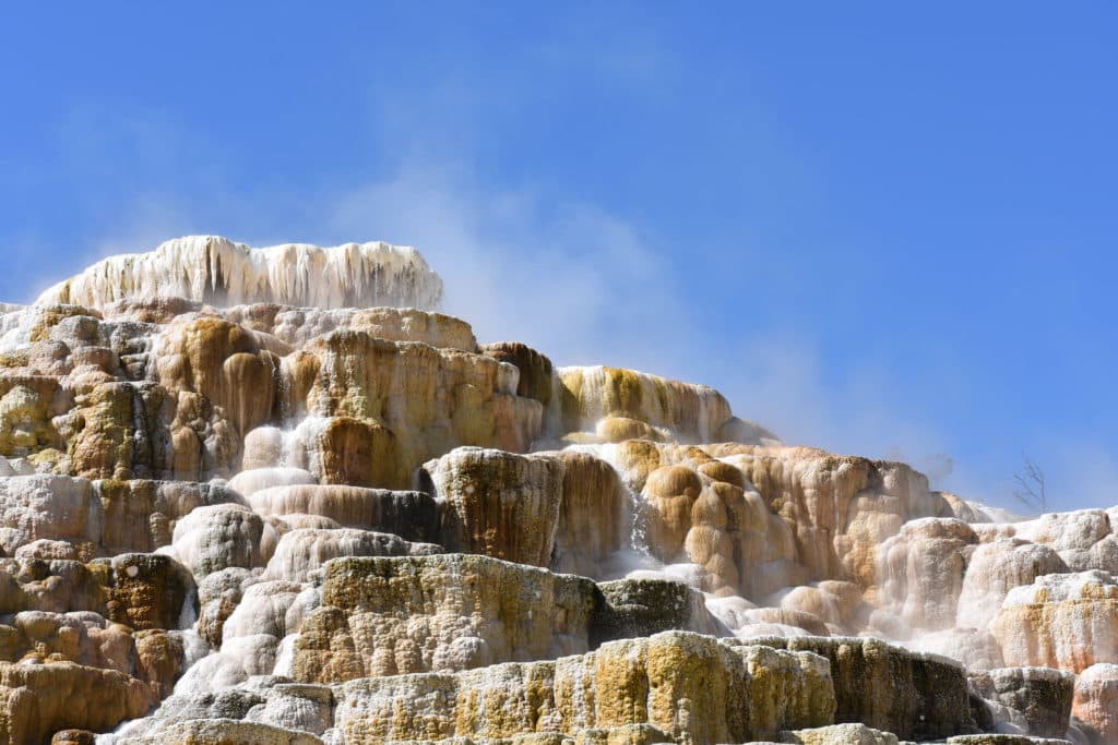 Mammoth Hot Springs