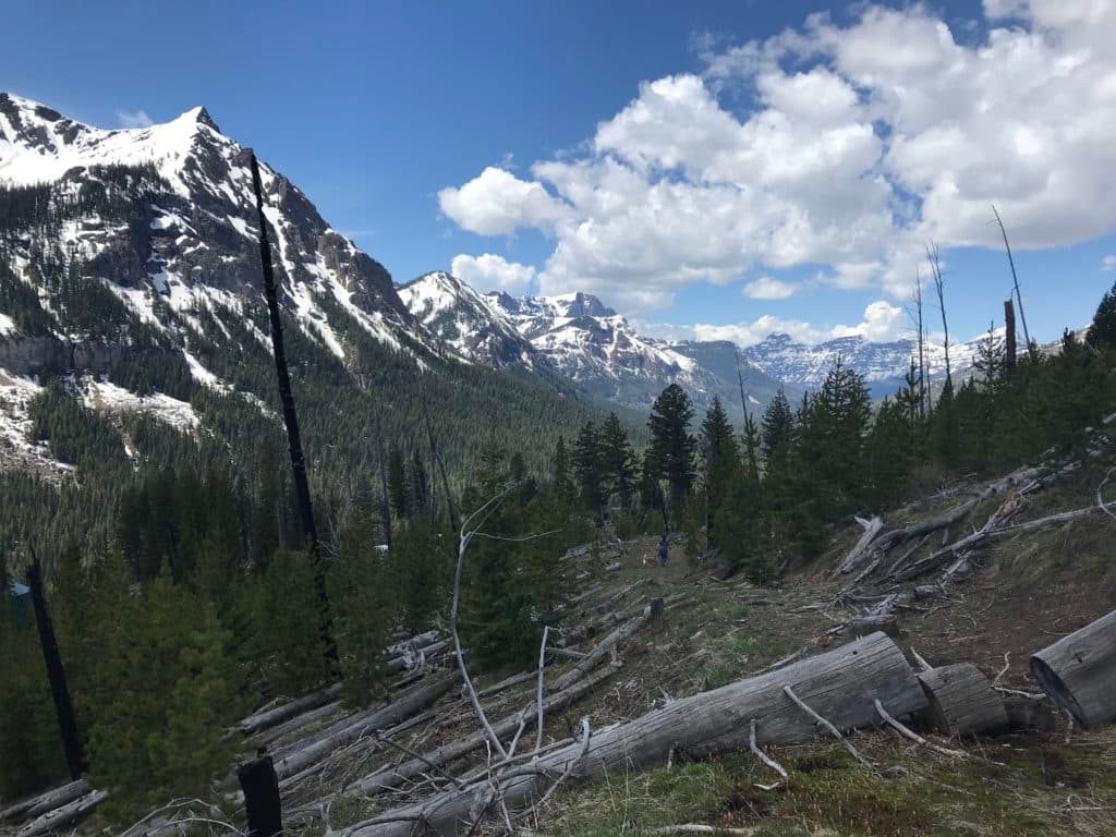 Daisy Pass Cooke City, MY