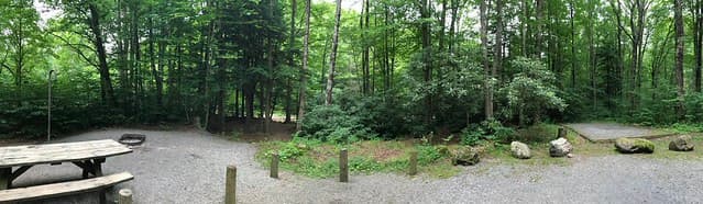 Tea Creek Campground, Site 23